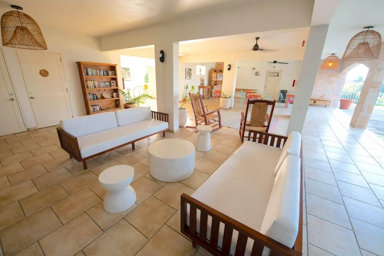 Lazy Parrot Inn Rincon Hotel