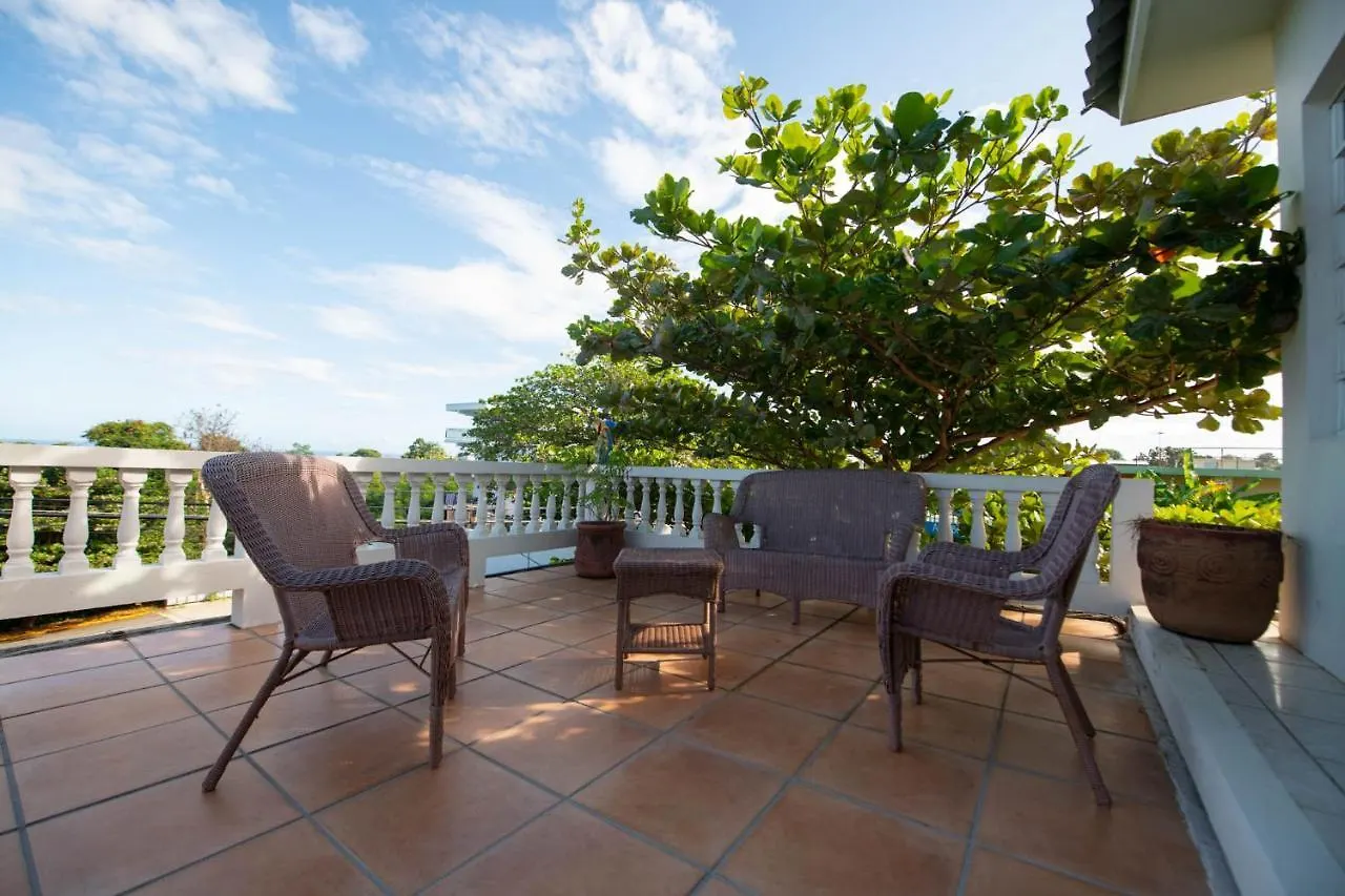 Lazy Parrot Inn Rincon Hotel