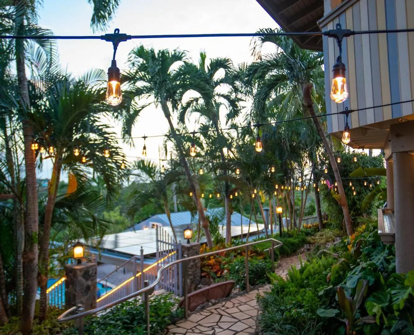 Hotel Lazy Parrot Inn Rincon
