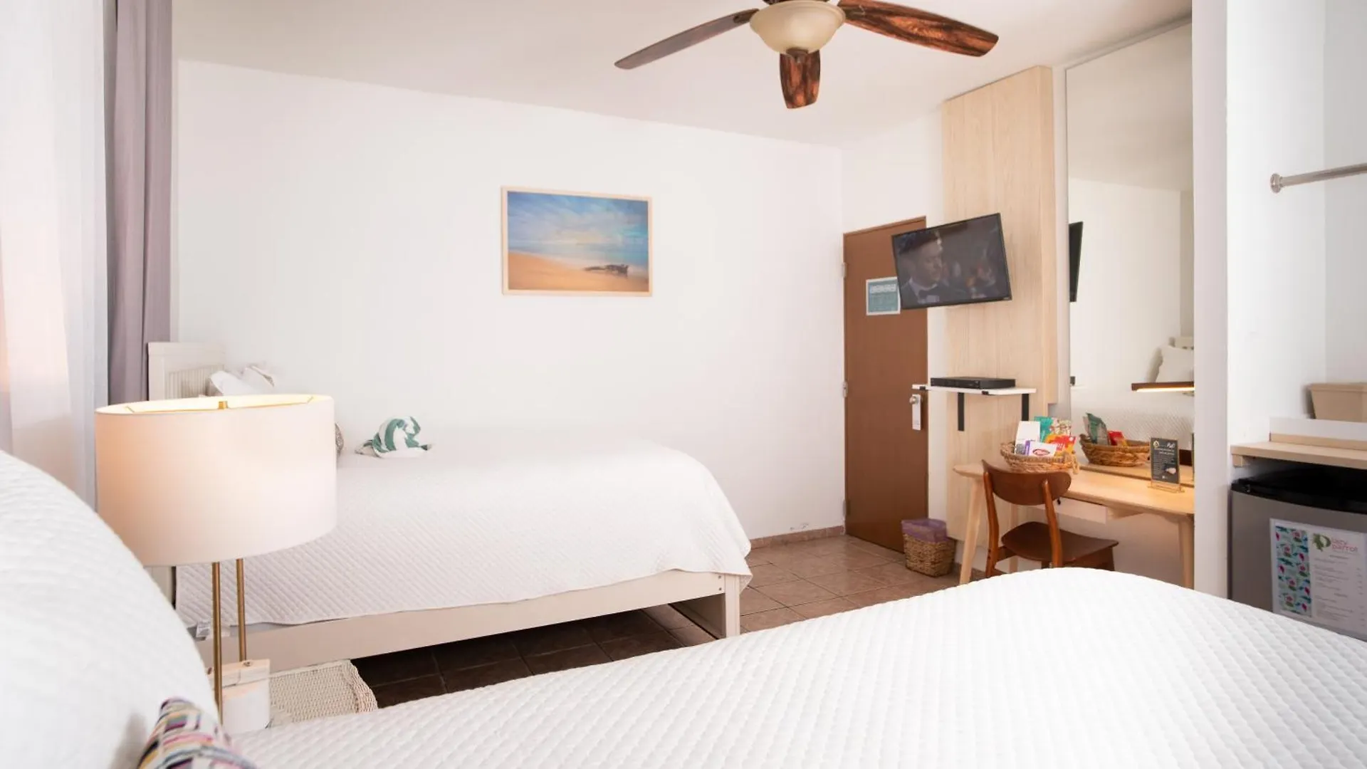 Lazy Parrot Inn Rincon 3*,