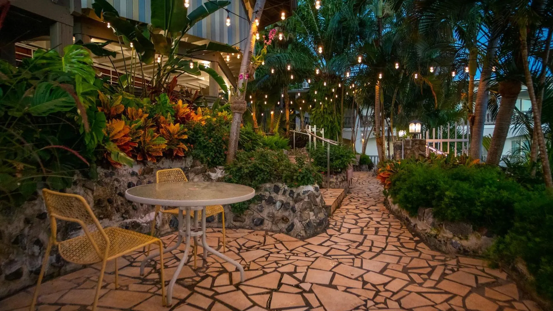 Lazy Parrot Inn Rincon Puerto Rico