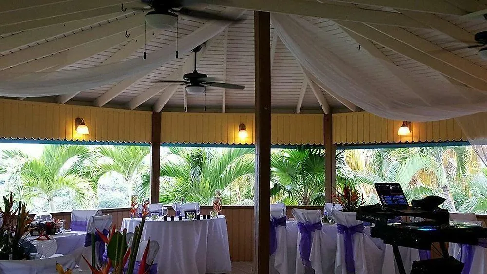 Lazy Parrot Inn Rincon Hotel