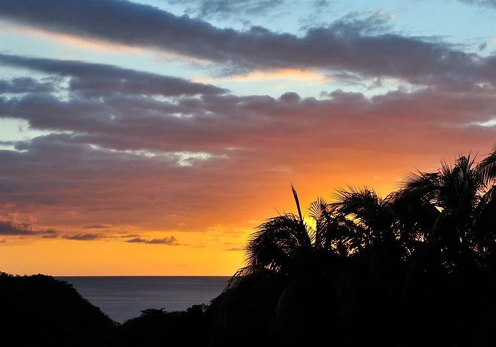 Lazy Parrot Inn Rincon 3*,
