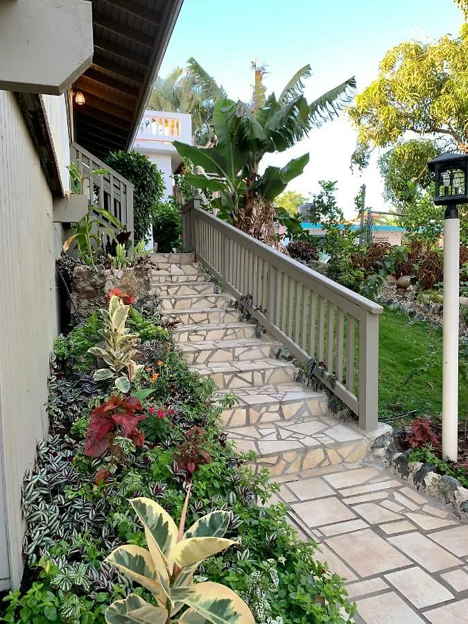 *** Hotel Lazy Parrot Inn Rincon Puerto Rico
