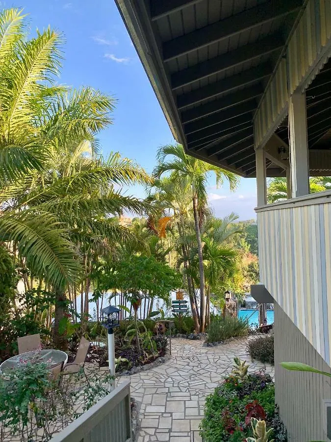 Lazy Parrot Inn Rincon