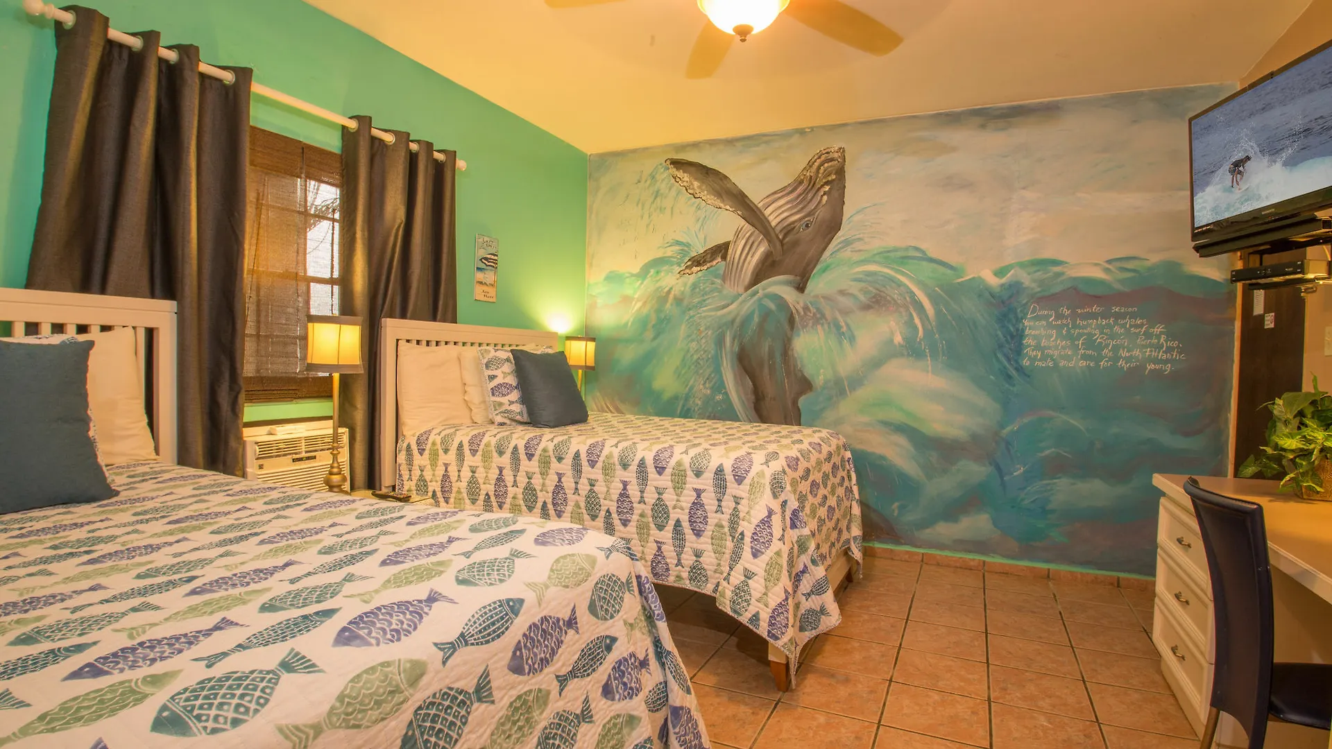 Lazy Parrot Inn Rincon 3*,  Puerto Rico
