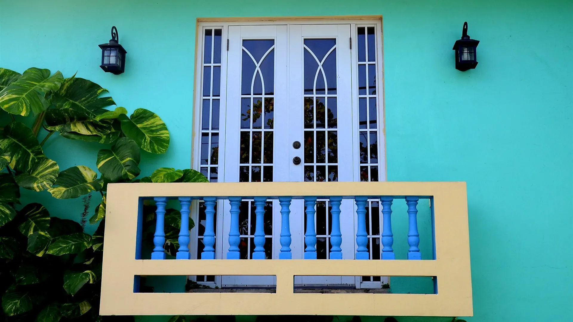 Lazy Parrot Inn Rincon Hotel
