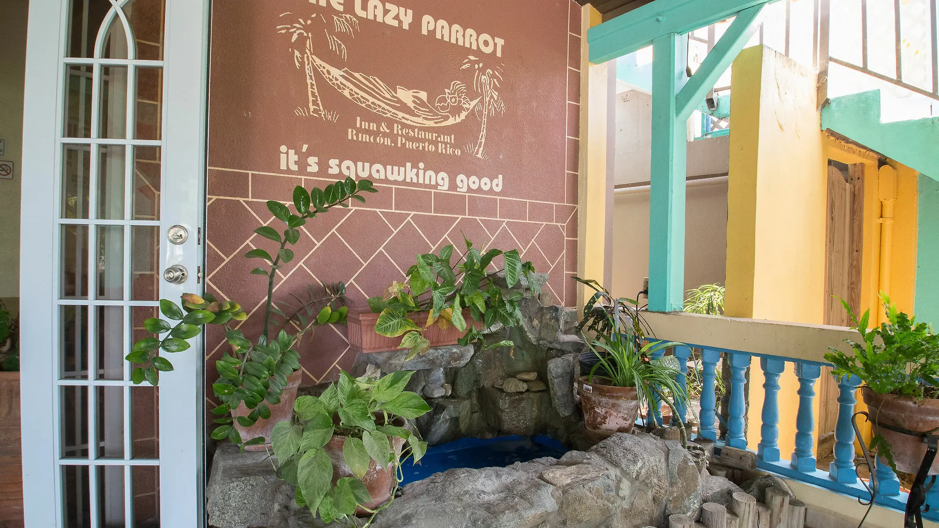 Hotel Lazy Parrot Inn Rincon