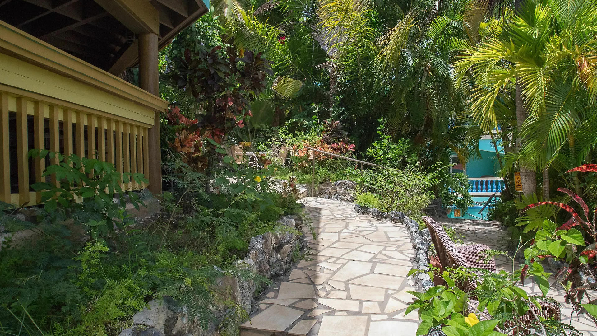 Lazy Parrot Inn Rincon Hotel