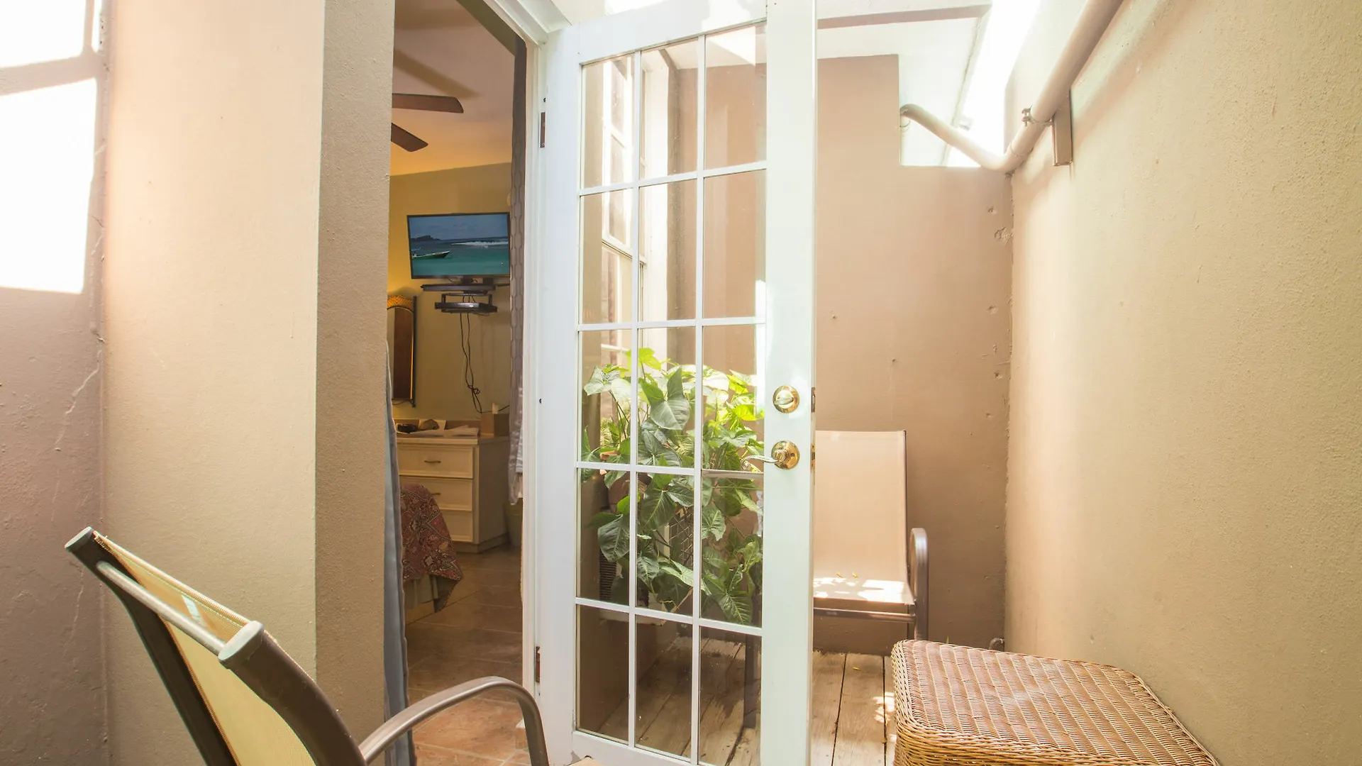 Lazy Parrot Inn Rincon Puerto Rico