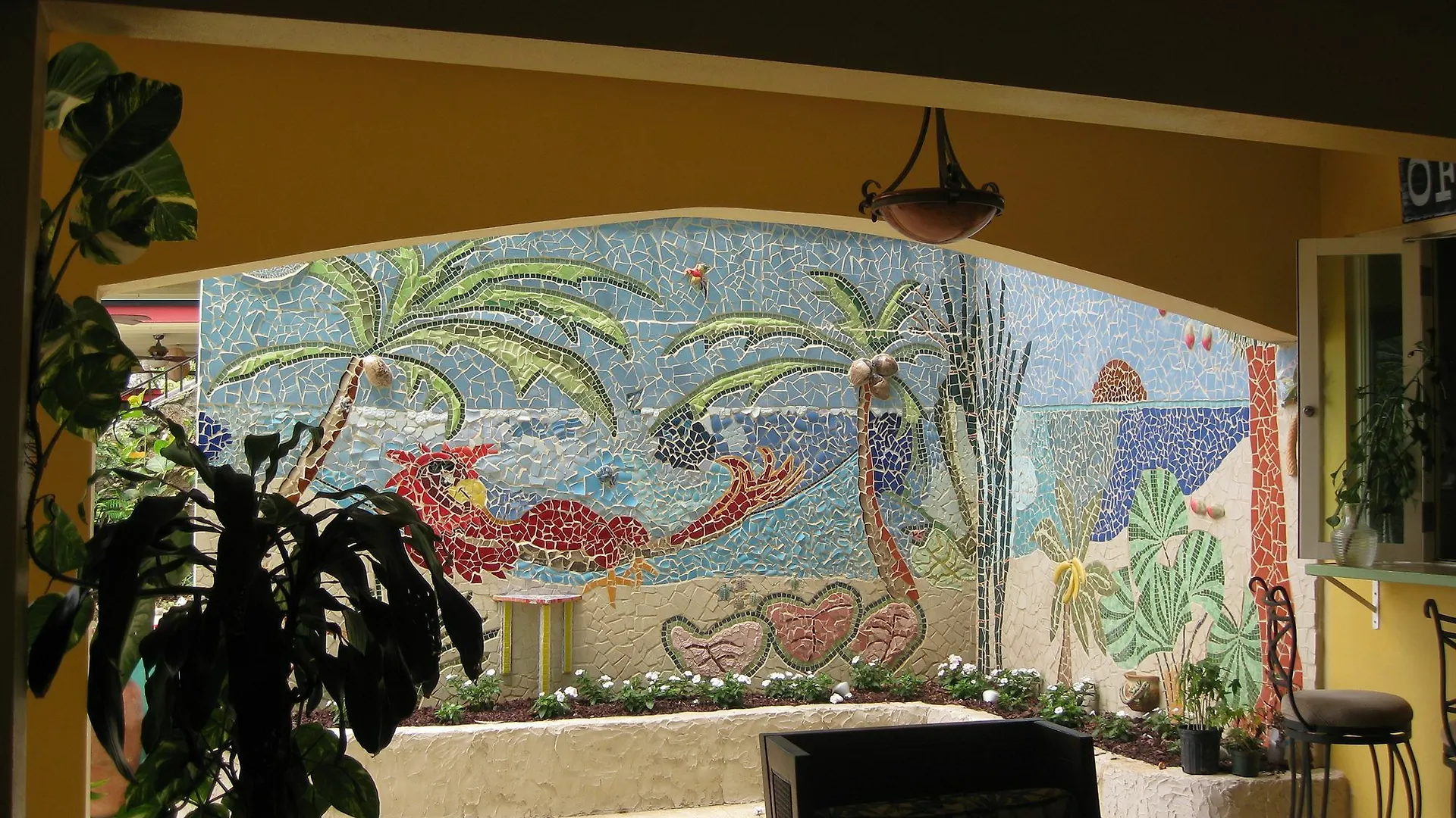 Lazy Parrot Inn Rincon Hotel