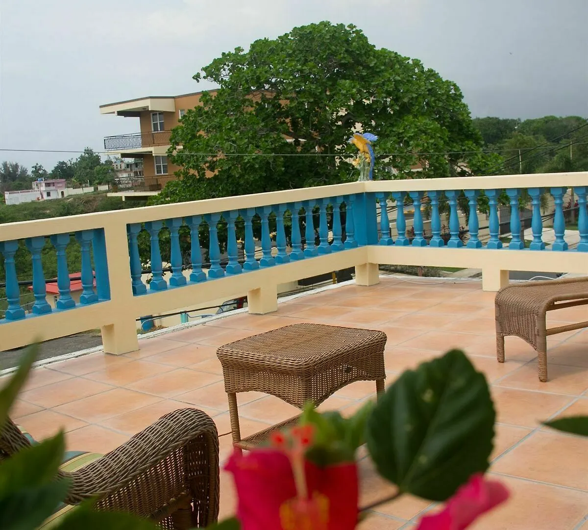 Lazy Parrot Inn Rincon